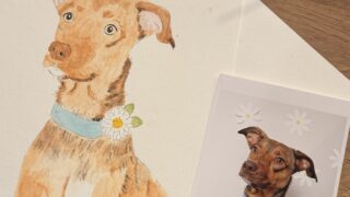 Pet Portrait Watercolors Workshop with Alexandra Schmeling