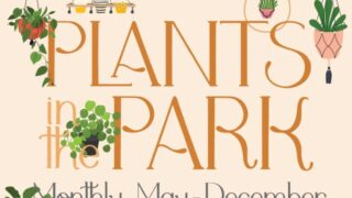 Plants in the Park - Bonsai Class