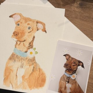 Pet Portrait Watercolors Workshop with Alexandra Schmeling