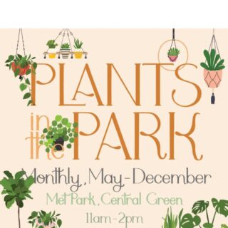 Plants in the Park - Bonsai Class