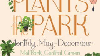 Plants in the Park - Closed Fern Terrarium