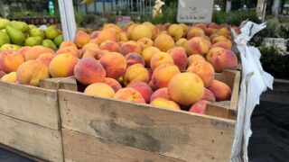 Met Park Saturday Farmers Market