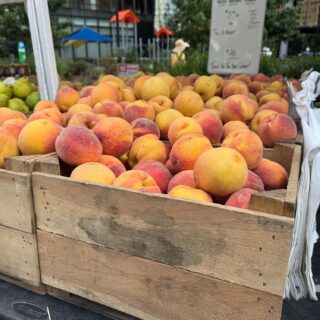 Met Park Saturday Farmers Market