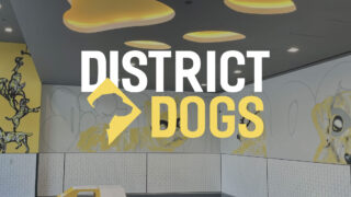 District Dogs