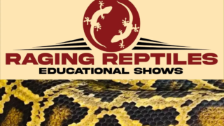 Raging Reptiles at Aurora Hills