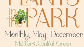 Plants in the Park - Grapevine Wreath