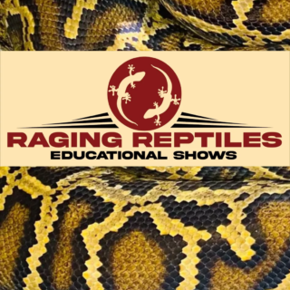 Raging Reptiles at Aurora Hills