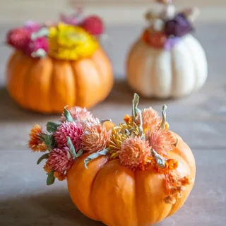 PLNTR - Dried Floral Pumpkin Centerpiece Workshop