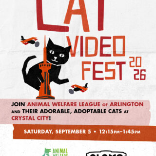 CATVIDEOFEST 2026