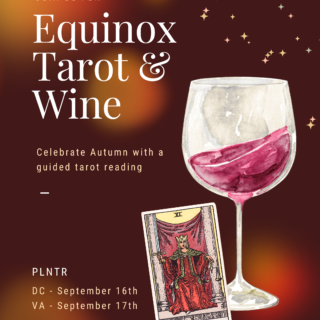 Fall Equinox Tarot & Wine