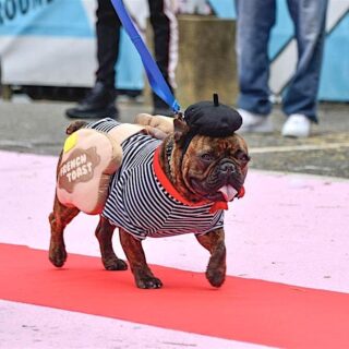 Howl-ween! A Dog Costume Contest Event