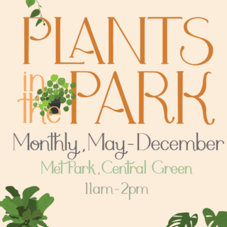 Plants in the Park - Grapevine Wreath