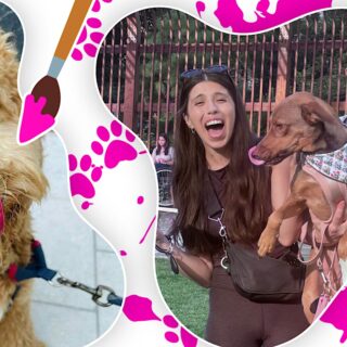 MoCA on the Move: Paw-casso Party + Adoption Event!